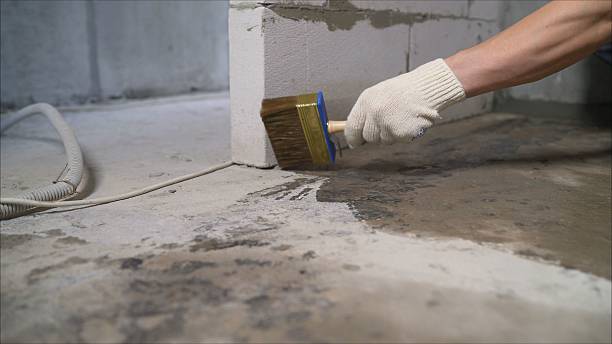 24/7 Emergency Wet Basement Repair experts in Wyandotte, MI